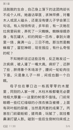 乐鱼电子官方网站